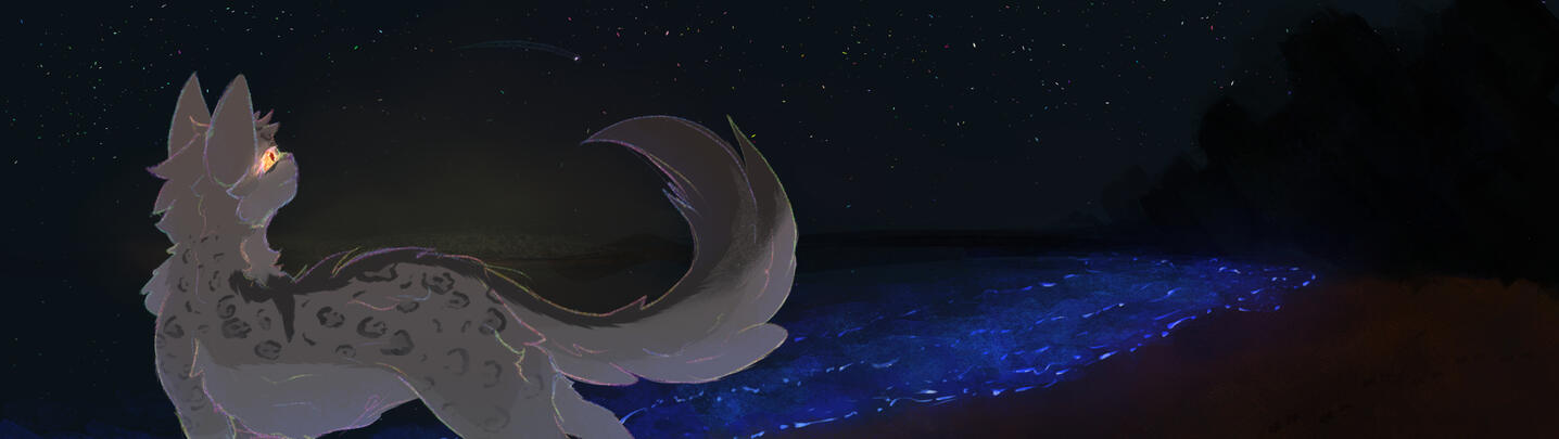 banner (25€ or more)