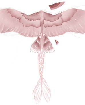 Concept design / back view