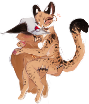 1 halfbody 1 Fullbody