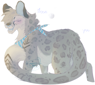 body slightly rendered